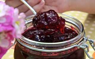 Желе из сливы на зиму: нежное и изысканное