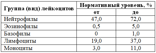 lejkocity-table