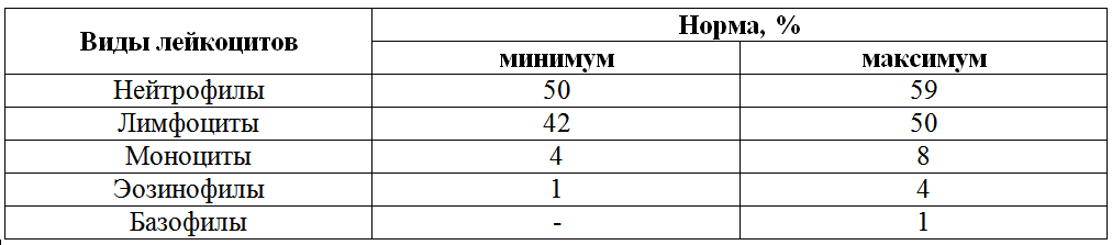 lejkocity-table2